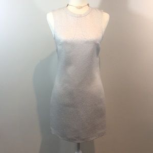 Shift Shimmer Dress